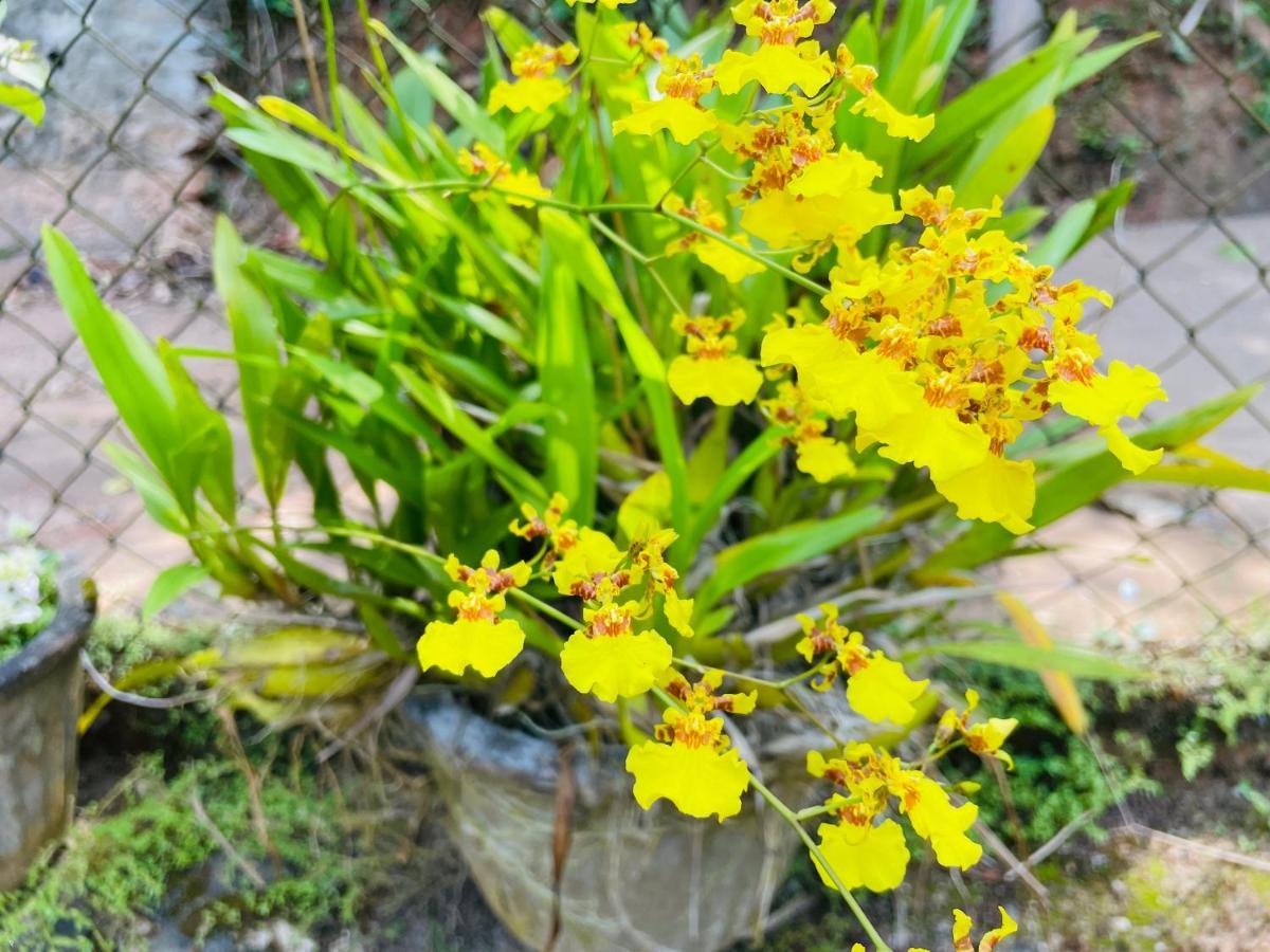 Unique Villa Kandy Bagian luar foto